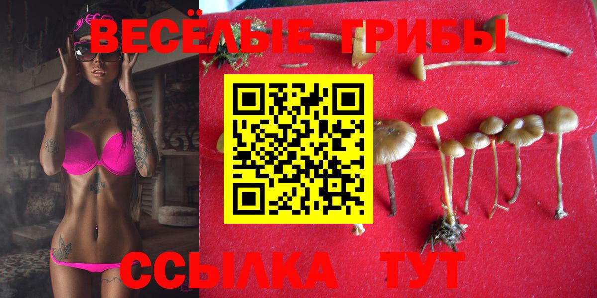 Псилоцибиновые грибы Cubensis Наро-Фоминск