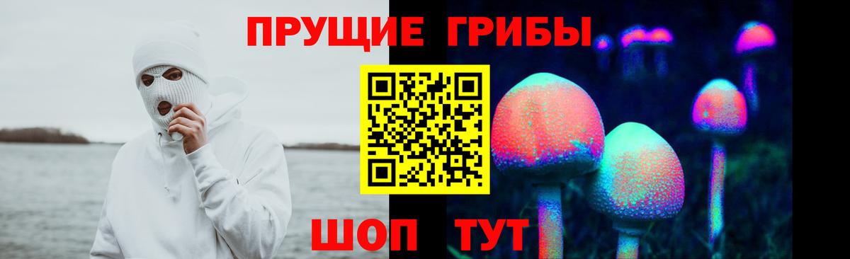 Наро-Фоминск  Галлюциногенные грибы Psilocybine cubensis  Галлюциногенные грибы мухоморы  наркота  Вход с VPN 